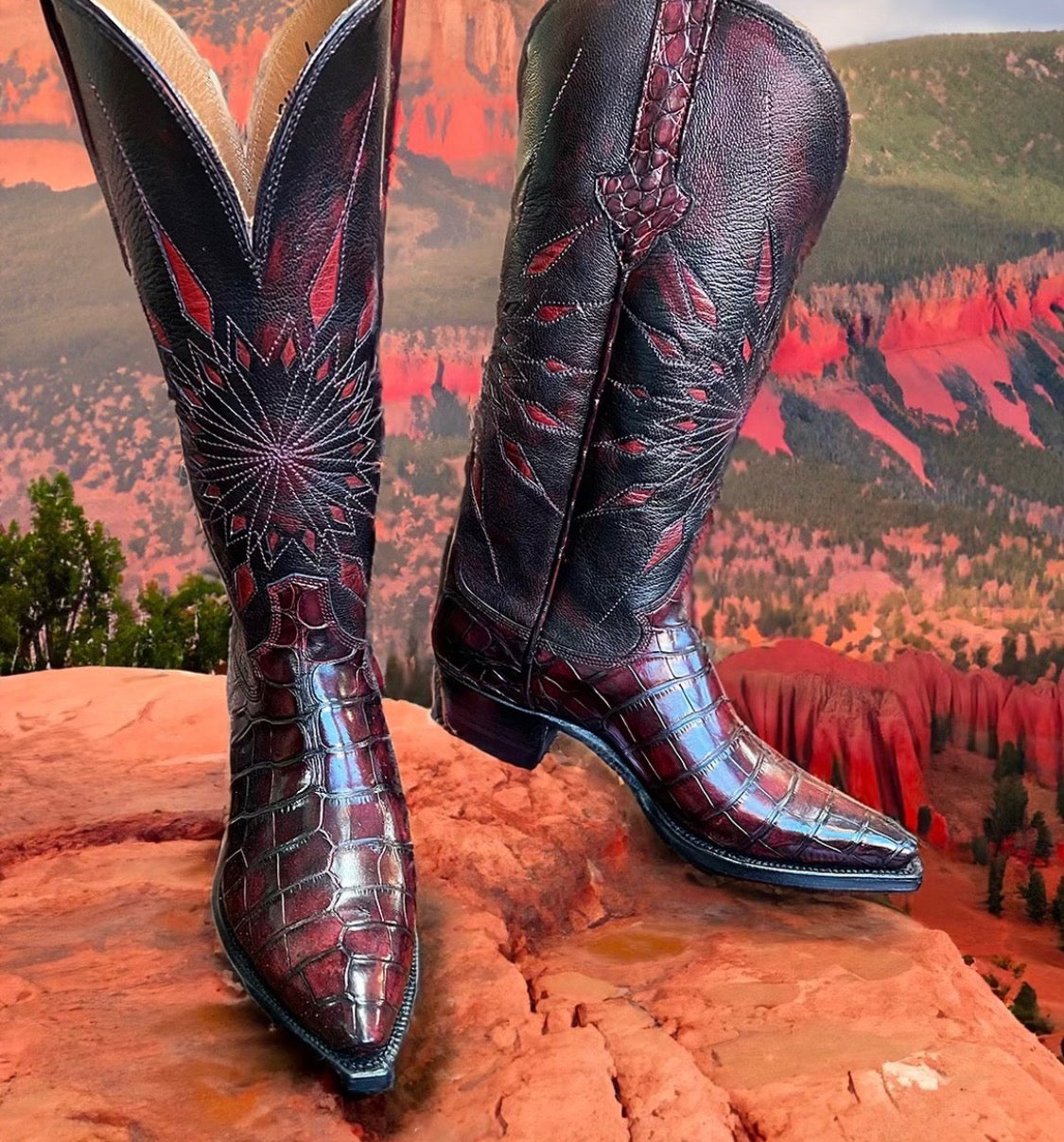 Black Cherry "Starburst" Alligator Boots