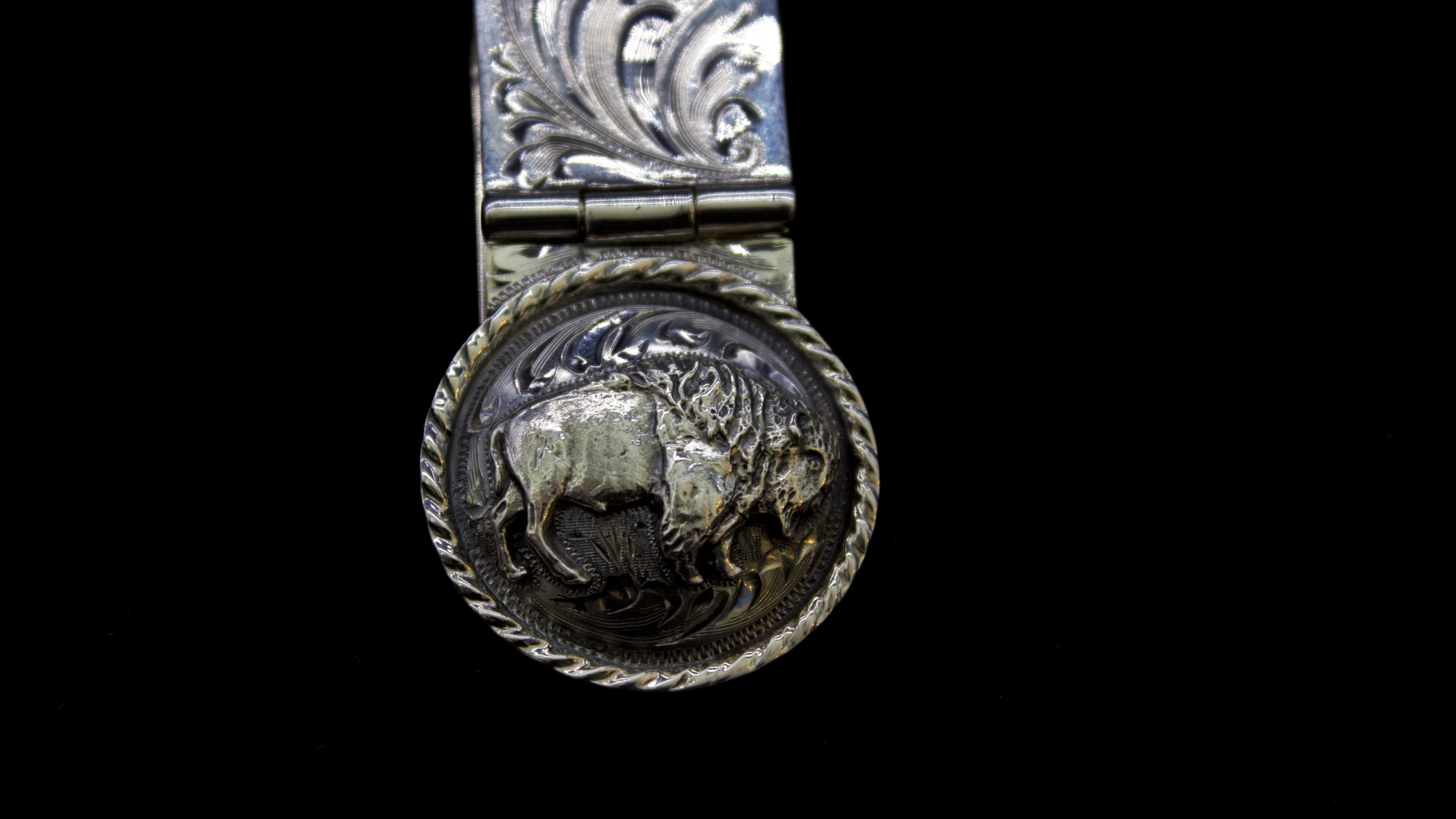 Vogt Bison Tribute Money Clip