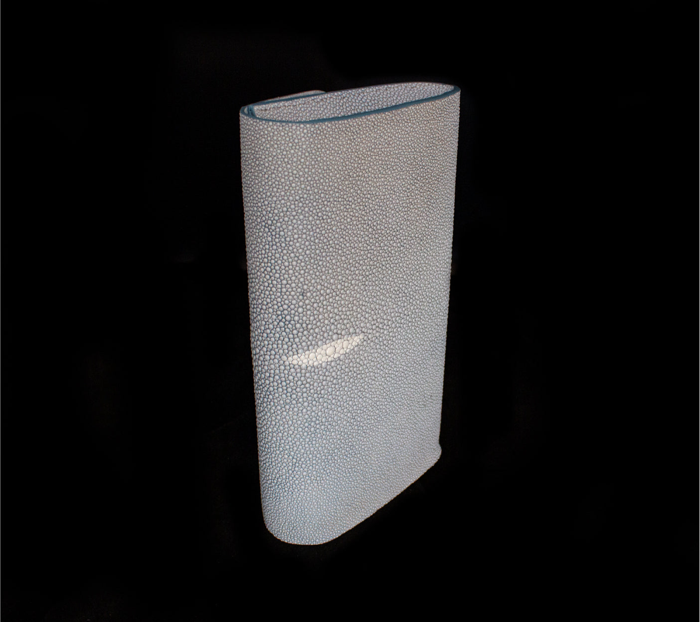 Baby Blue Stingray Clutch