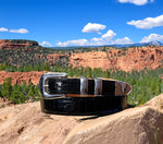 Glazed/Glossy Alligator Belt Strap With Complementary Buckle -test-
