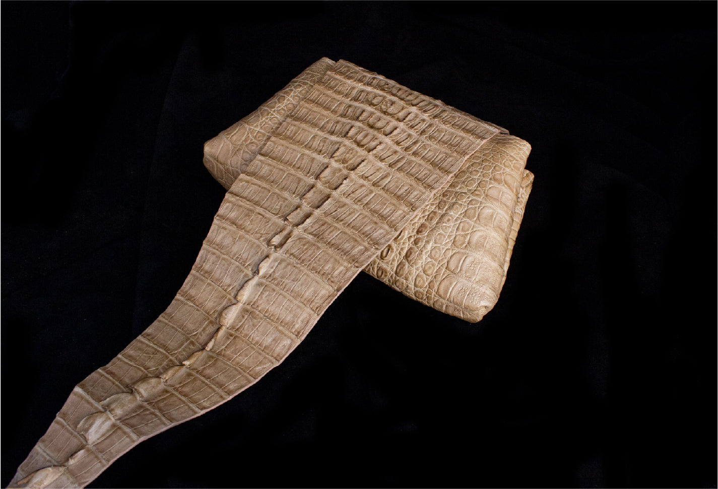 Natural Hornback Crocodile Wrap Around Clutch